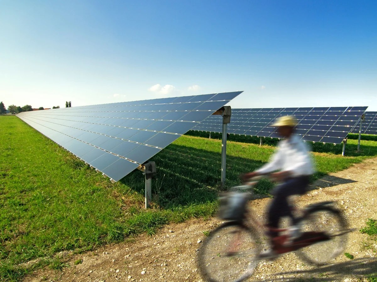 Germany pledges to phase out fossil fuels for first time with target of 2045